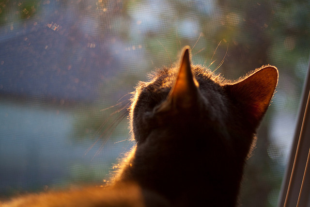 开云体育开云-_场外故事：运动员公益慈善引关注_，善待运动员