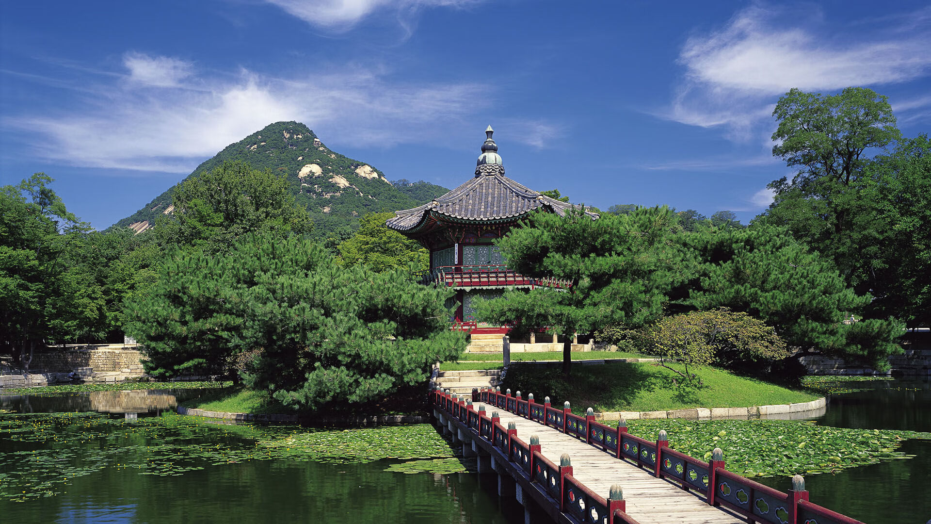 _国际足协赞助，推动青少年网球普及_，ctj青少年网球