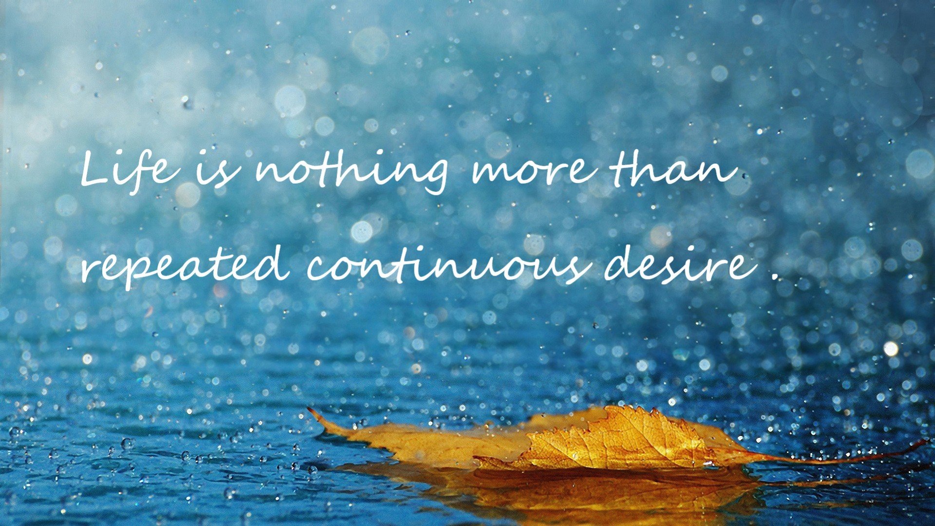 开云中国官网-_奇才队定乾坤，迎战联盟强队_，奇才队比赛最新战况