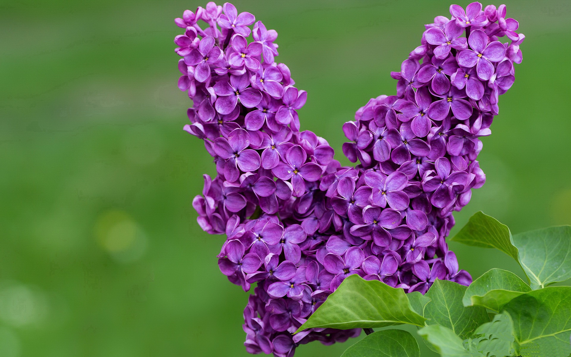 “深度战术分析：联盟中最具创新的打法”，联盟创新案例