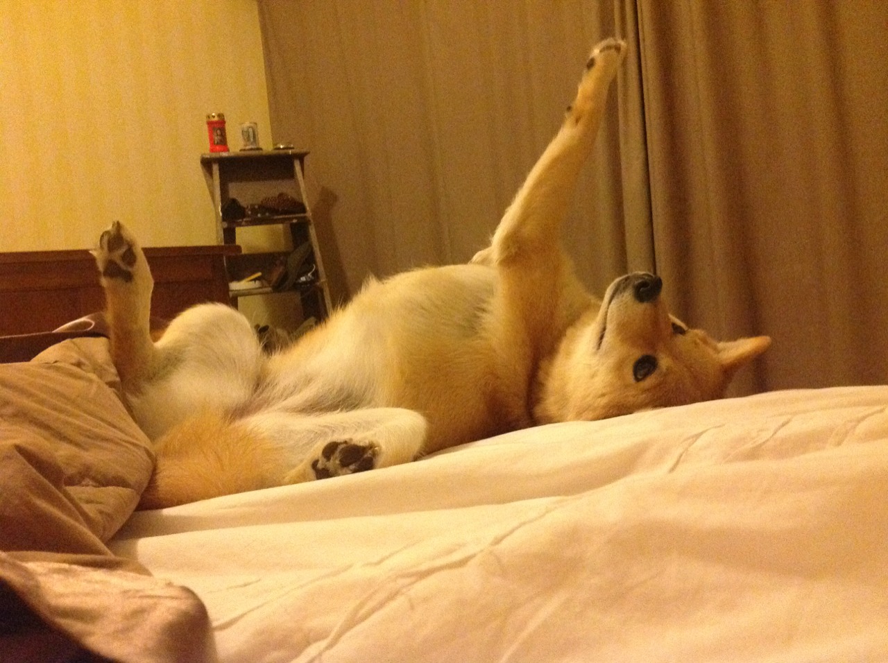 传统射箭文化节，比拼精准的技术魅力，射箭文创