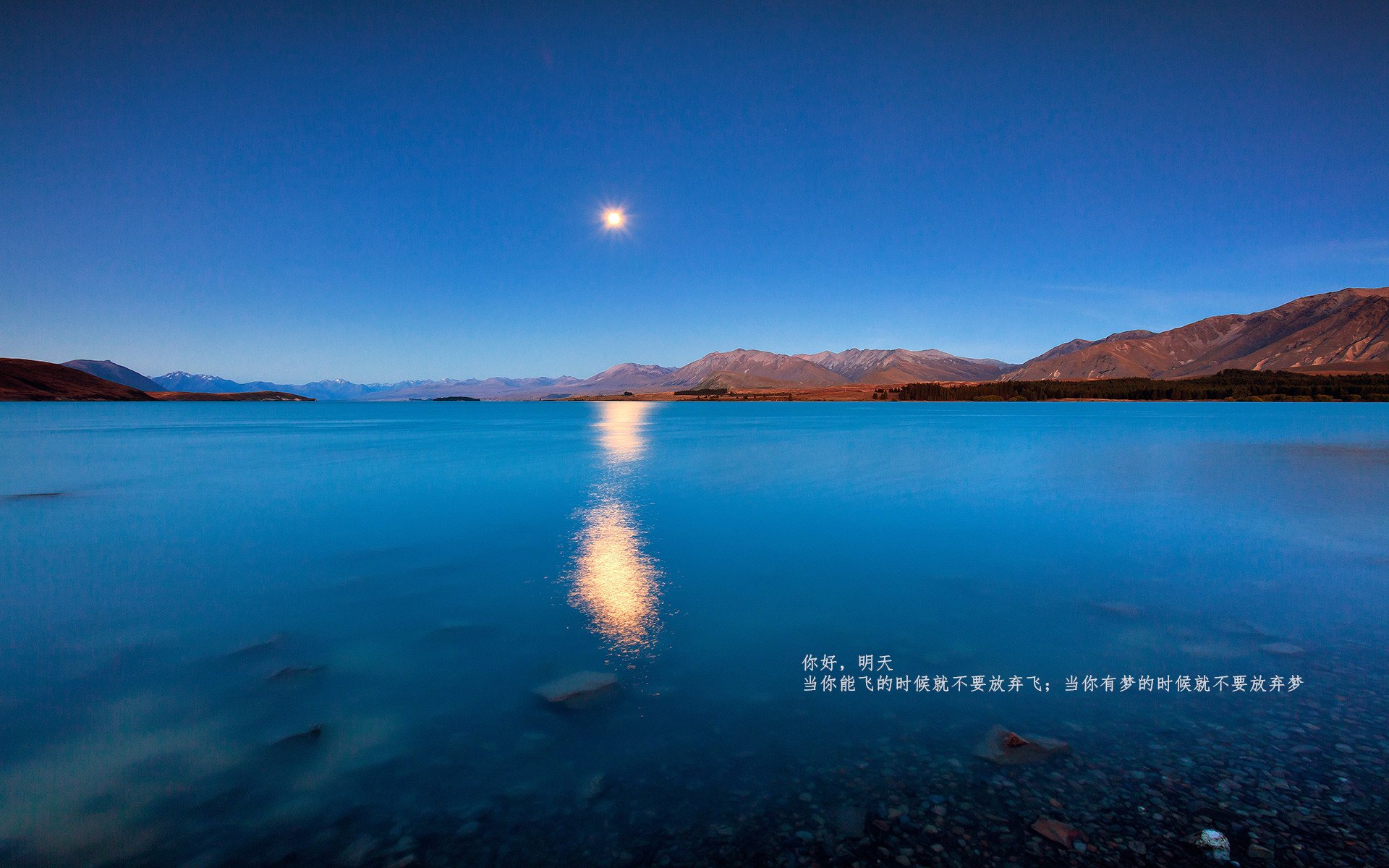 动作捕捉技术在电竞领域的应用：真实还原与增强互动性，动作捕捉行业