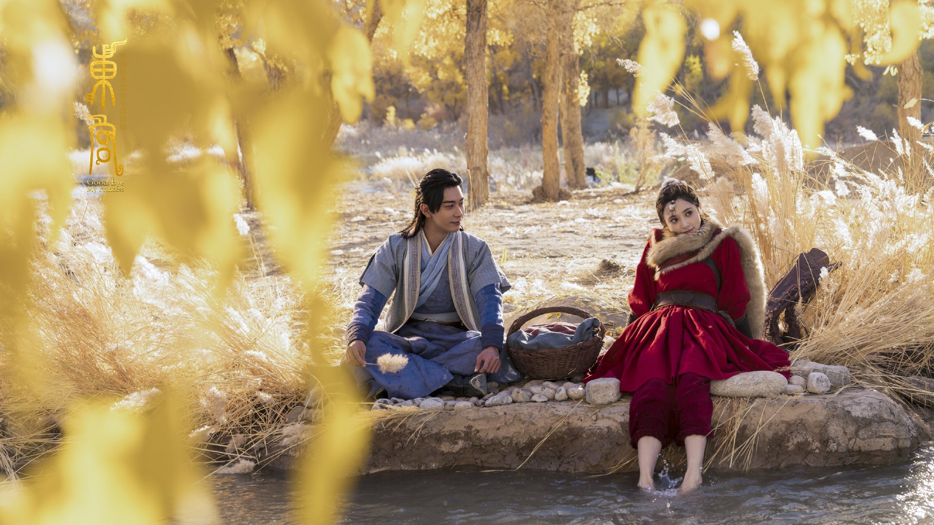 女子网球公开赛中国选手表现突出，晋级八强，女子网球职业赛事